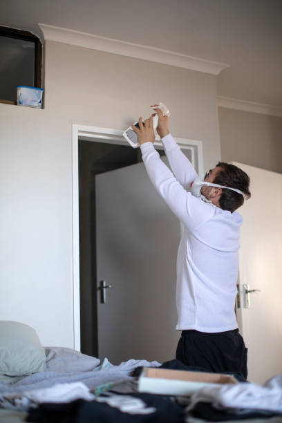 Best Air Quality Testing for Mold Spores  in Greenville, IN
