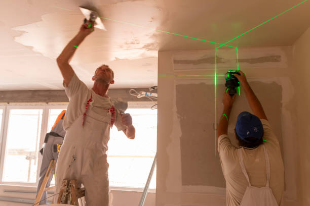 Best Mold Removal for HVAC Installations  in Greenville, IN